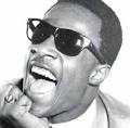 Stevie Wonder had a couple of