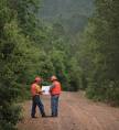 Forestry Education