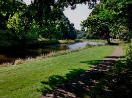 Image result for Wansbeck Gc