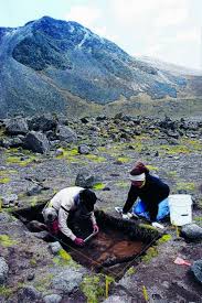 Image result for Aztec Divers