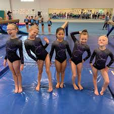 Image result for North Devon Display Gymnastics Club