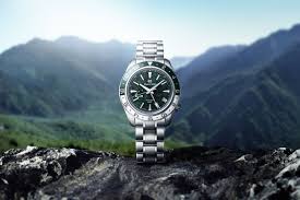 Image result for GMT watch