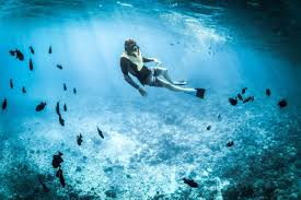 Image result for Underwater Adventures
