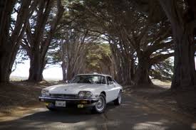 Image result for Glacier White 1988 Jaguar