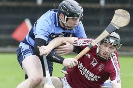 Image result for Causeway Hurling Club