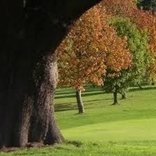 Image result for Aquarius Golf Club