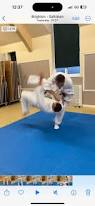 Image result for Brighton Judo Club