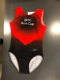 Image result for King Edmund Acro Gymnastics Club