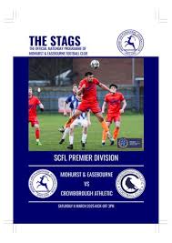 Image result for Crowborough Athletic Football Club