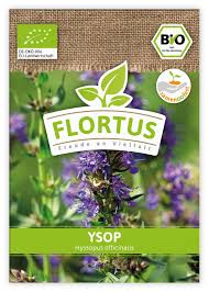 Image result for Ysop