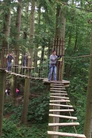 Image result for Go Ape! Grizedale