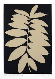 Attēlu rezultāti vaicājumam “Polygonatum multiflorum”