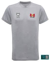 Image result for Llangennech Rfc