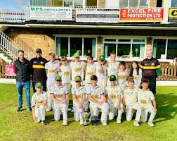 Image result for Walsden Cricket Club