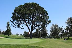 Image result for Redhill Golf Centre