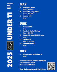 Image result for Alcester & Ragley CC