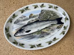 Image result for Salmo salar