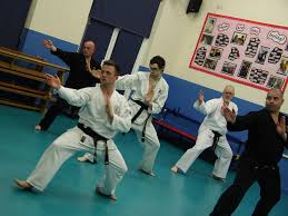 Image result for Taunton Karate academy