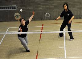 Image result for Crofton Arrows Badminton Club