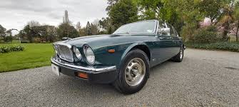 Image result for Racing Green 1981 Jaguar
