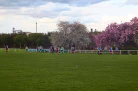 Image result for Tadcaster Magnets Sports & Social Club