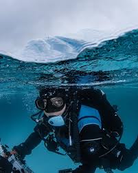Image result for Headstream Divers