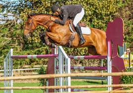 Image result for Woodhill Riding Club