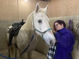 Image result for Shey Copse Riding Centre