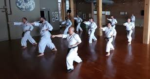 Image result for Excalibur Shotokan Karate Club