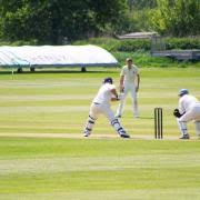 Image result for Portland Red Triangle Cricket Club