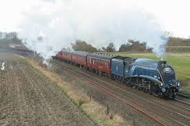 Image result for Pastures Company Of Archers, Mickleover, Derby