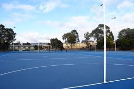 Image result for Robins Netball Club