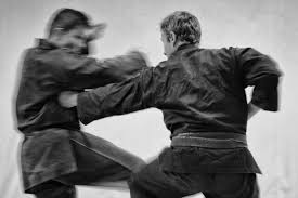 Image result for Bujinkan Lincon Dojo