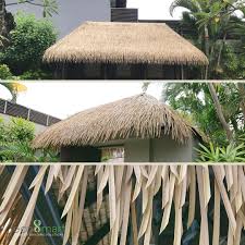 Image result for alang