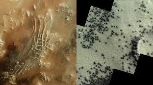 Image result for mars trees