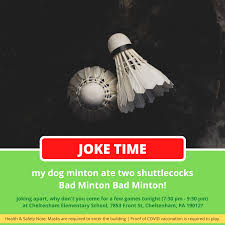 Image result for Bucks Schools Junior Badminton Club