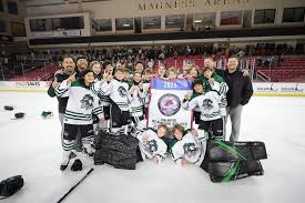 Image result for Golborne Hockey Club