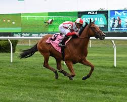 Image result for Derby Bsac