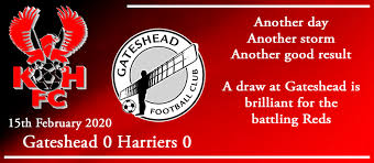 Image result for Gateshead Storm