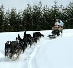 on a sled pulled by 9 dogs, - via Daymix