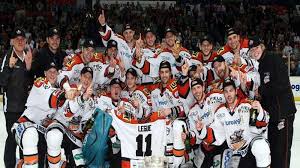 Image result for Sheffield Steelers