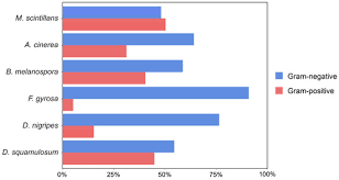 Attēlu rezultāti vaicājumam “Badhamia melanospora spores”