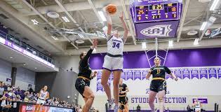 Image result for Nottingham Wildcats