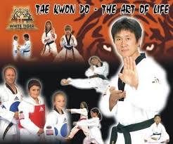 Image result for White Tiger Martial Arts