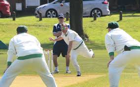 Image result for Wembdon Cricket Club