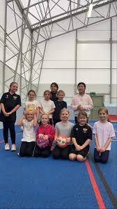 Image result for Huddersfield Giants Netball Club