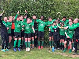 Image result for Leatherhead Football Club