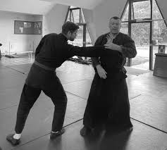 Image result for Bujinkan Mid Kent Dojo