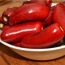 Afbeeldingsresultaat voor jalapeno early hot pepper