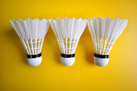 Image result for Somerset Nomads Badminton Club